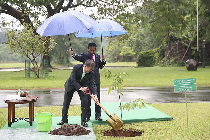 문재인 대통령이 9일 보고르 대통령궁 정원에서 기념식수 하고 있다. 오른쪽은 조코 위도도 인도네시아 대통령. (사진: 청와대)